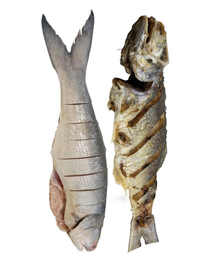 Ramas fish