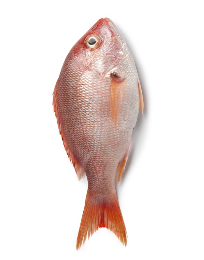 Heera Fish
